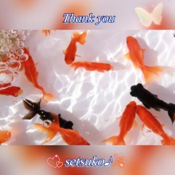 せつこ ☆★☆金魚??完熟ばなな上野店・せつこ♪