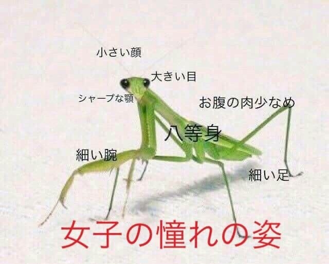 さわ ( ///皿///)>"　朝からブス ブス言ってますが(笑)