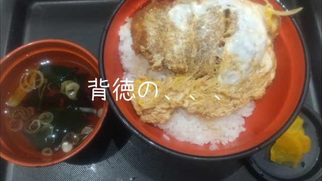 ひろ 背徳のカツ丼