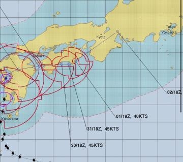 しおん 情弱は負け⚡️☔️