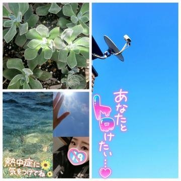 井岡 .+｡:+.*｡･+(人*´∀`)+･｡**｡･+(人*´∀`)+･｡*