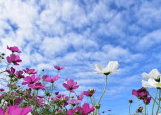 三好 ☀本日出勤します☀