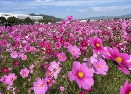 くみこ 明日のご予約☆