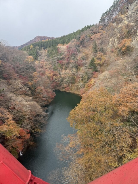 新木 お礼