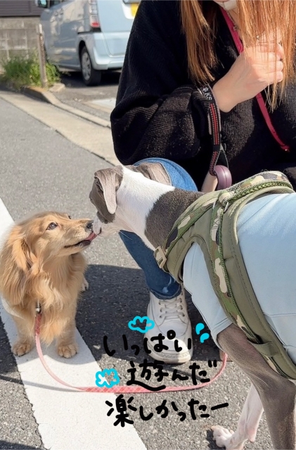 一条 ☀️おはようございます☀️