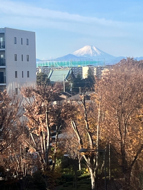 まい 今朝の富士山