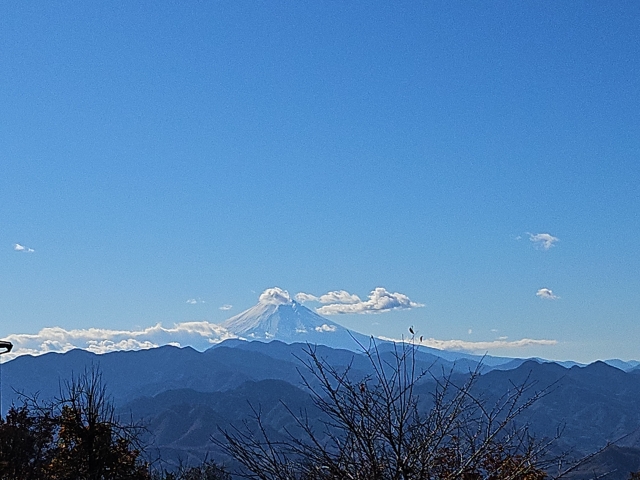 ジェシカ 無題