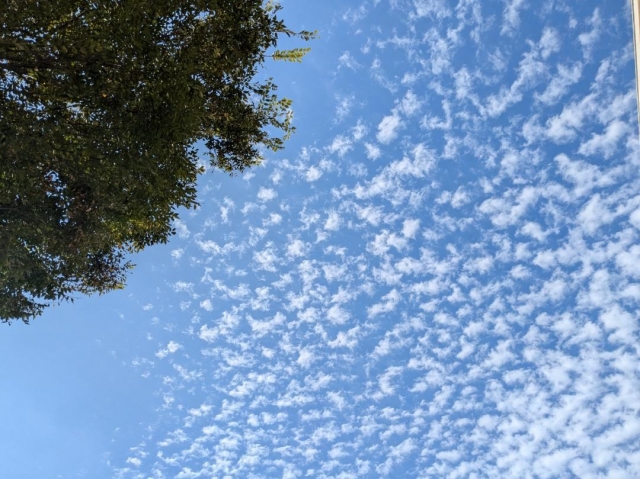 山村 ♡今日は暑かった♡