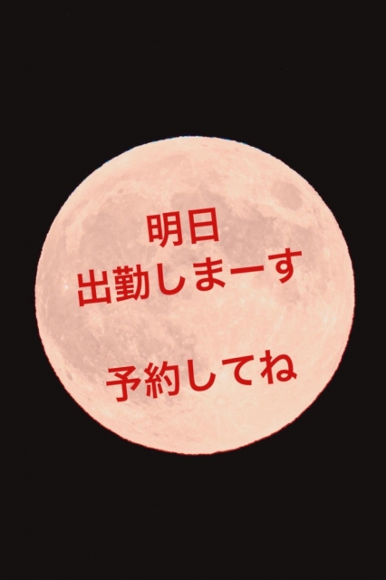 日比野 明日　しゅっきん