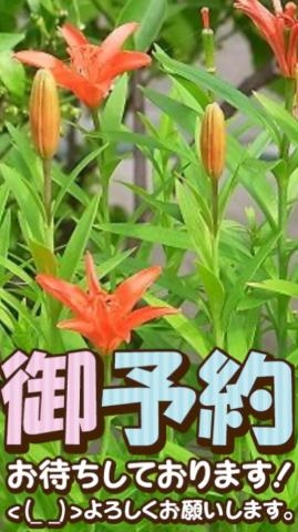 広瀬まほ 向かいまーす?