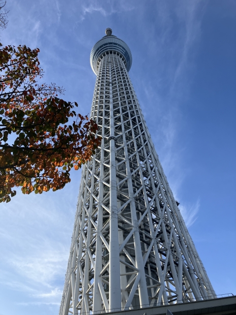 吉井 11月17日日曜日。