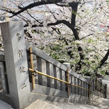 山咲 お礼とご挨拶♥️