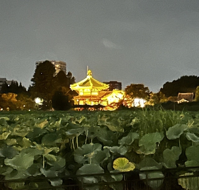 河北 出勤します