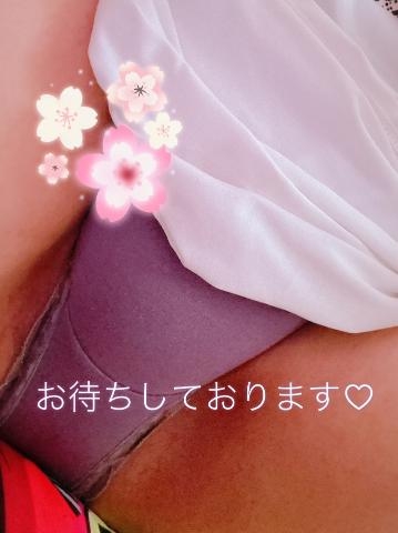桜(さくら) (−ε−*)ﾑｩ