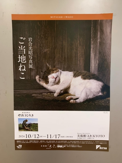 あけみ 今日は猫活