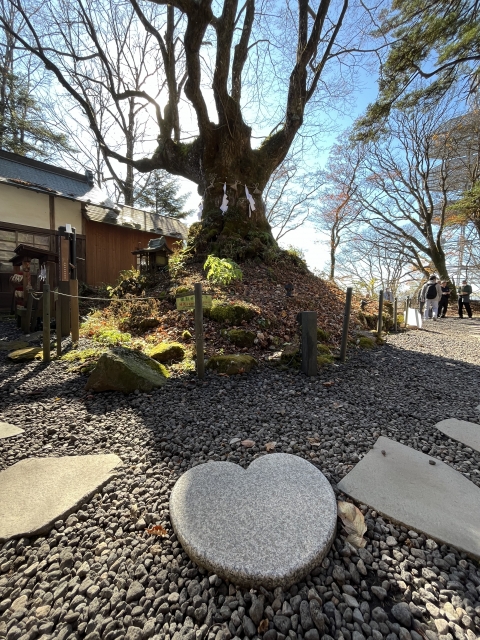 わかこ 失楽園