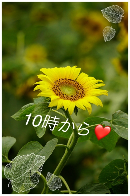 木下 おはようございます❣️