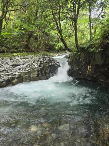 林葉 こんばんは