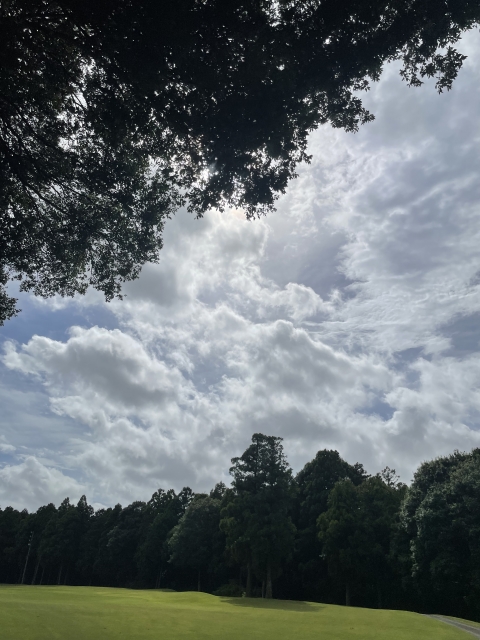 三好 あいにくなお天気