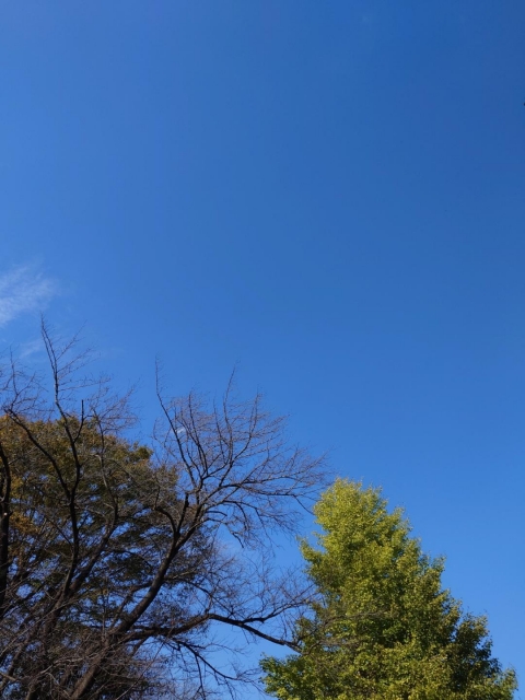 守屋 空が高い。。