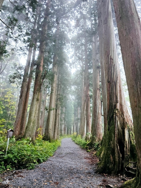 里中まなみ 戸隠神社