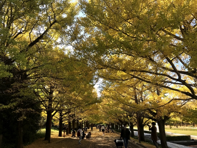 三咲 お出かけ