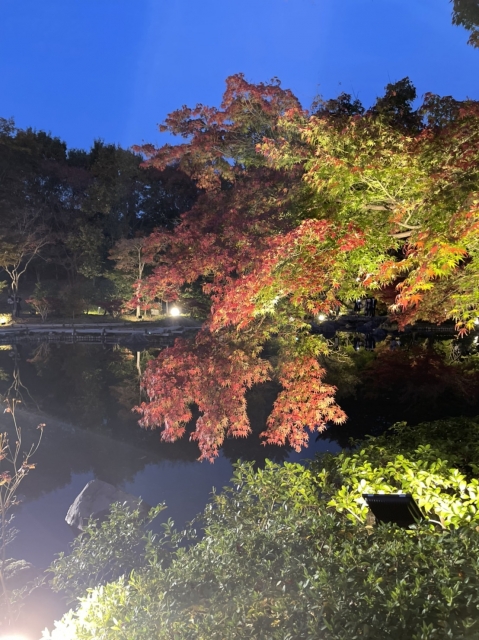 みどり 昨日はありがとうございました