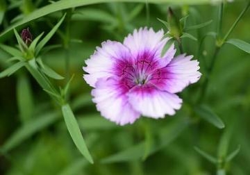 西谷 ✨連休真ん中日曜日✨