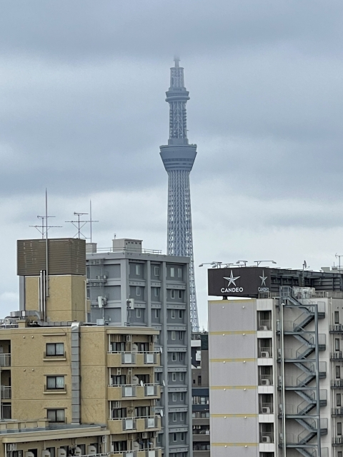 上田 梅雨末期