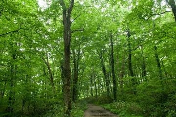 なるみ 世界遺産