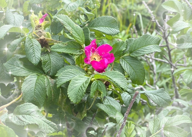 小野 こんにちは〜☀️