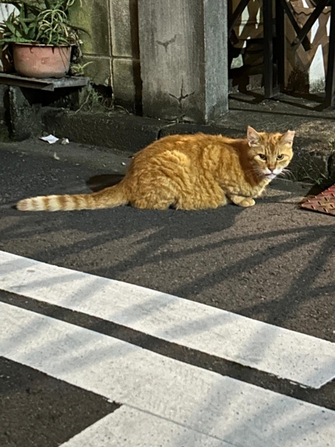 小柴 ありがとう＆本日