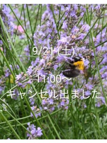 仁科ゆりか 9/21(土)?11:00〜