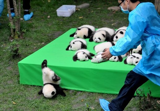 さわ (*￣∇￣)　おばちゃん　時々 赤ちゃん(笑)