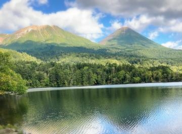 しおん 山にも雌雄あるの‼️