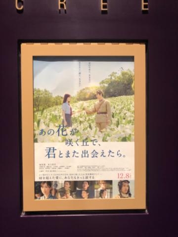 坂本まな 映画観てきました?