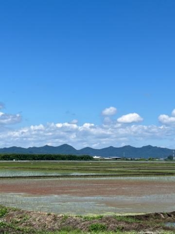 みつこ 素晴らしい！