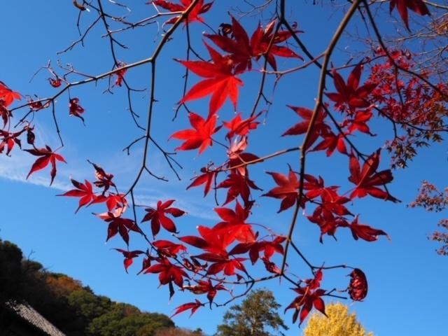 早川 出勤です