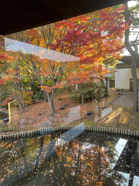 あやな 昨日は、紅葉狩り