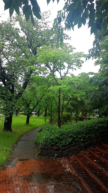 えな 雨でも