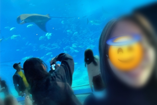 みいこ 水族館デートしたいな