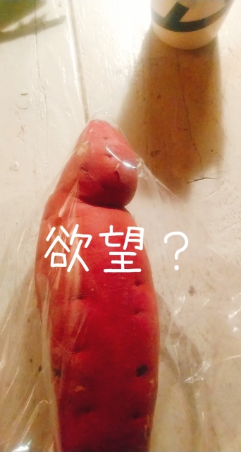 ひろ 欲望が形に？