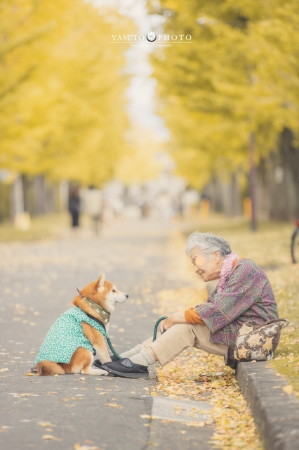 さわ (　￣ω￣) ﾊｲ、調子のりません（でも嬉しい）