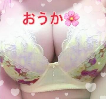 おうか 次回は……❤️