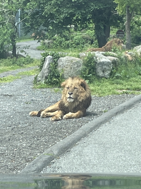 とうか こんにちは