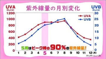 夢原るい 夏の嫌いなところ?