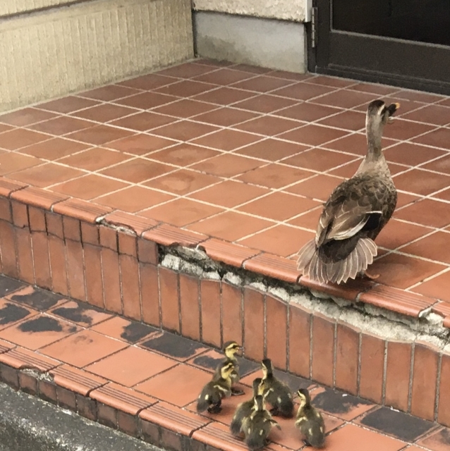 井上 井上です