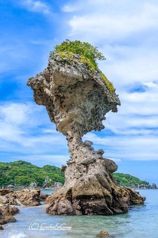 野上 出勤しました