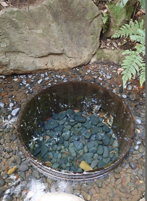 浅倉 次回とその後は……