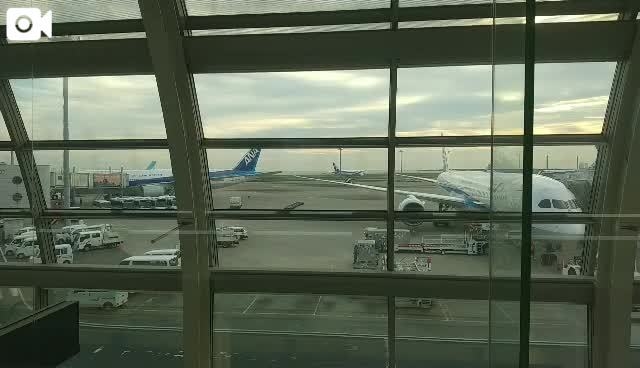 しょうこ 搭乗中✈